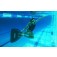 אלופת אירופה בשחיה עם סנפירים לילה סזקלי עם המונופין Glide Carbon שלה