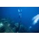 סנפירי צלילה חופשית WaterWay Deep Blue Powerfins